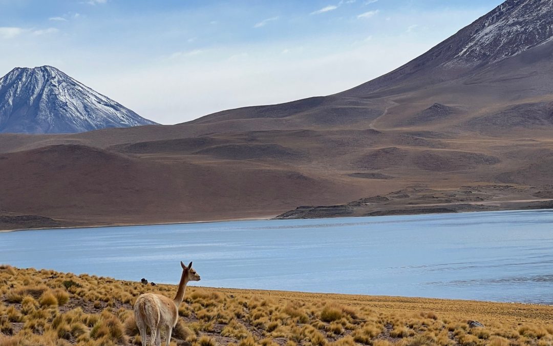 8 Hidden Gem Cities in Chile