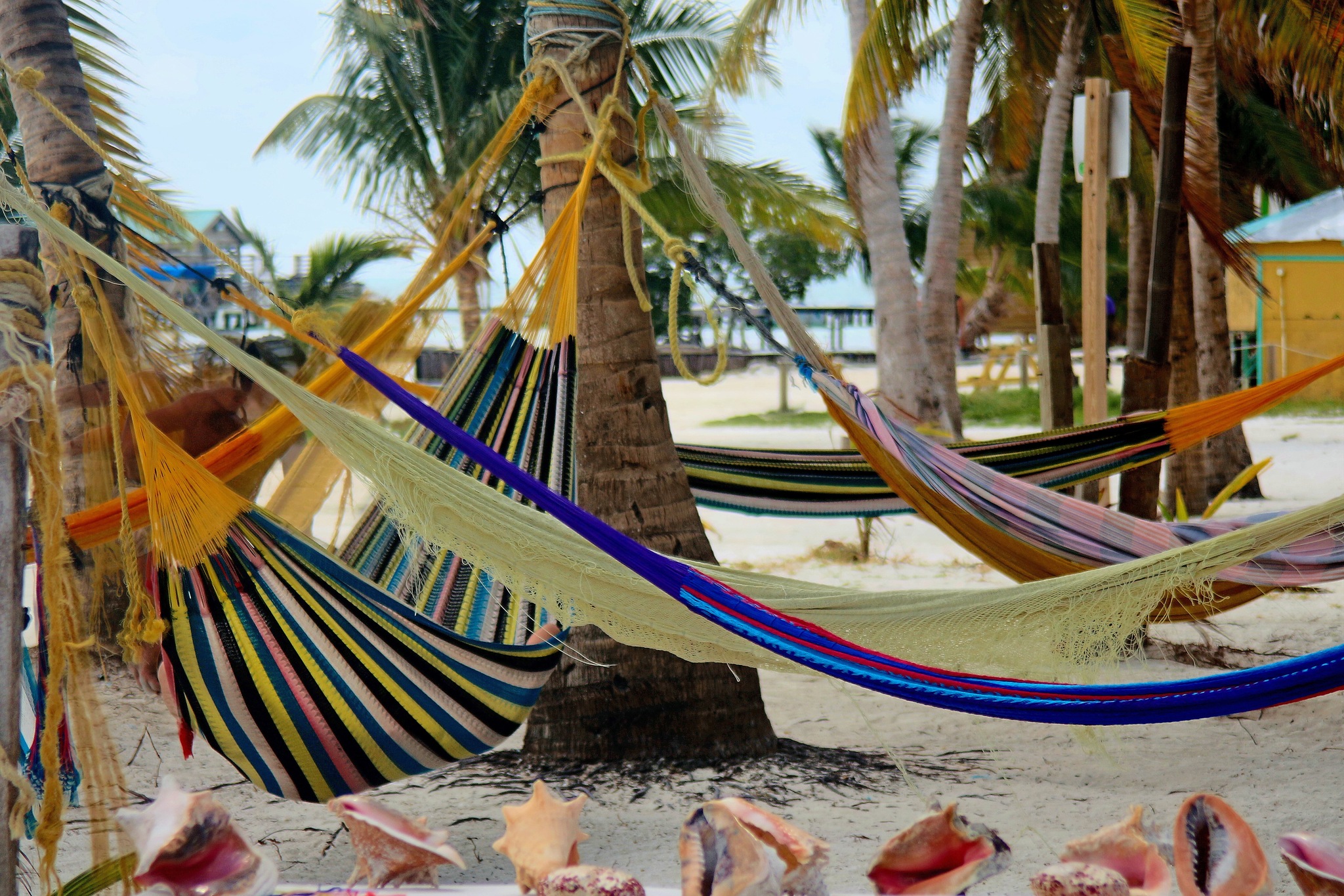 Hammocks, Belize, Caye